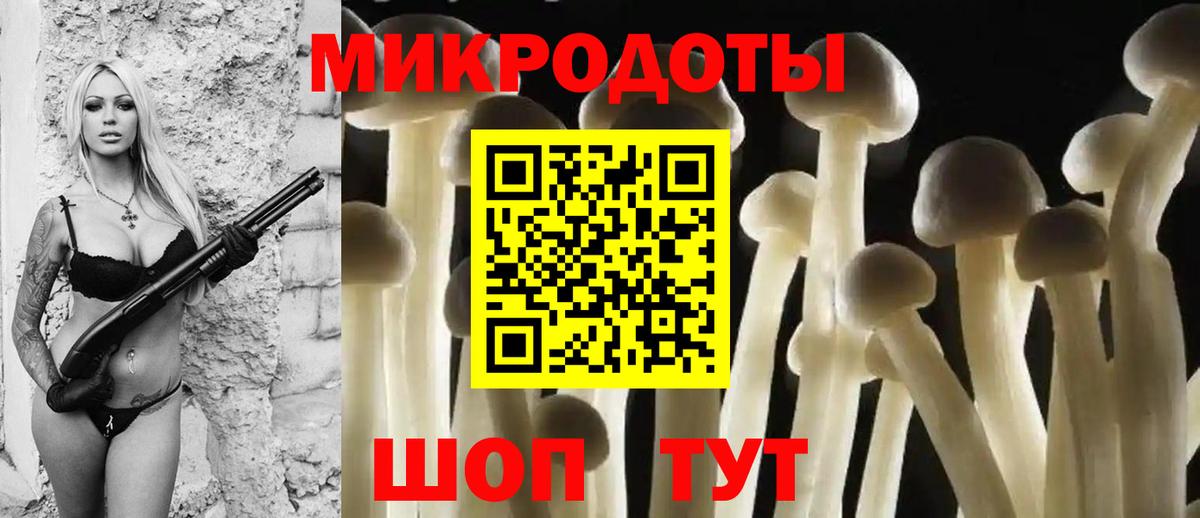 Хабаровск  Галлюциногенные грибы Cubensis  сколько стоит  Вход с VPN 